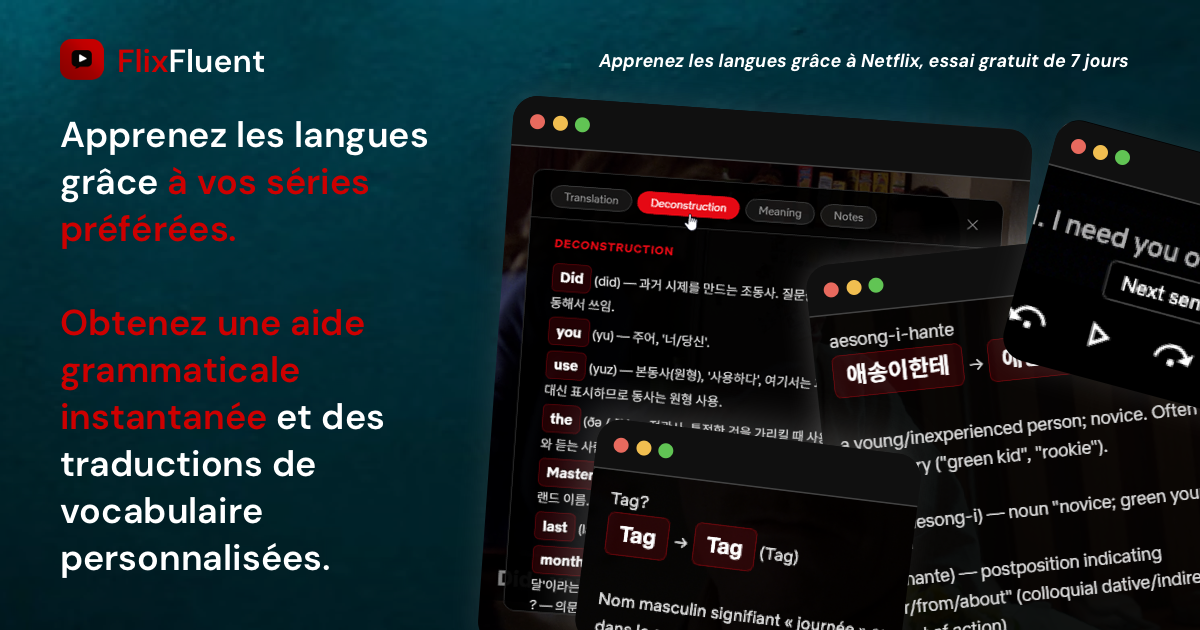FlixFluent - Apprenez des langues en streaming